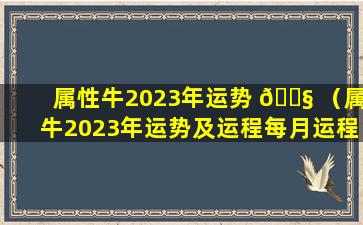 属性牛2023年运势 🐧 （属牛2023年运势及运程每月运程大家找算命网）